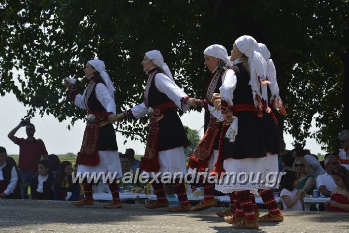 alexandriamou.gr_trikala28.5.2018068